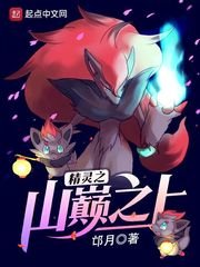 (精灵宝可梦同人)精灵之山巅之上