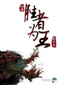 (BL/红楼同人)胜者为王